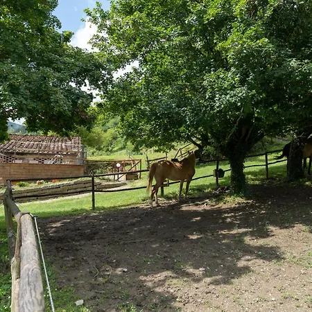 Villa Di Alberi