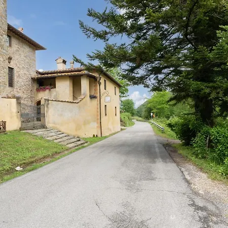Di Alberi
